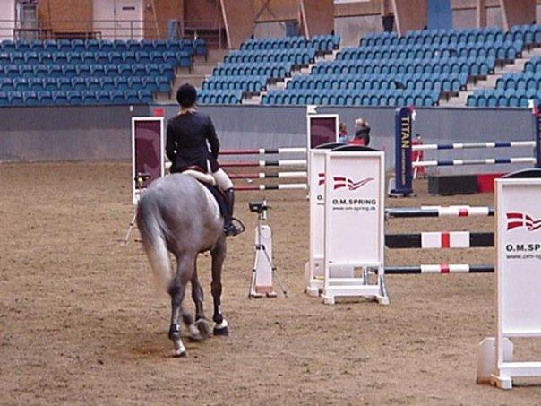 Tysk Oldenburger Benetton Du Rouet - Igen et lidt ældre billede fra et stævne på vilhelmsborg. billede 9