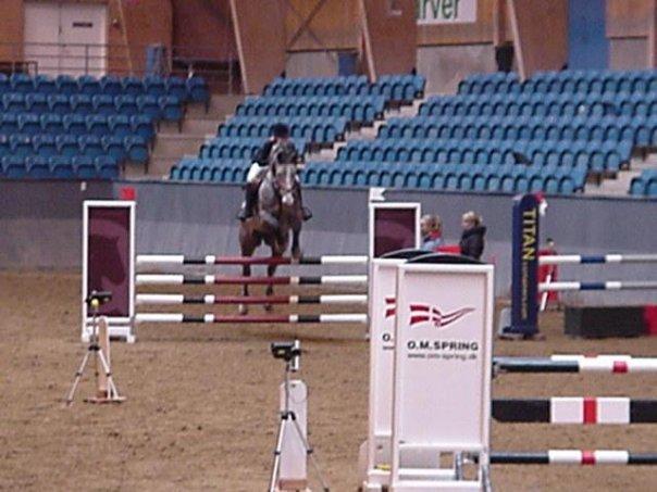 Tysk Oldenburger Benetton Du Rouet - fra samme stævne på Vilhelmsborg for nogle år tilbage da farverne endnu ikke var begyndt at falme :-)
 billede 10