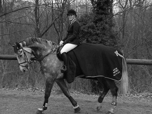 Tysk Oldenburger Benetton Du Rouet billede 14