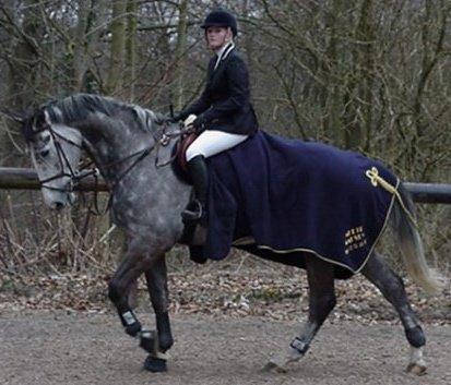 Tysk Oldenburger Benetton Du Rouet billede 15