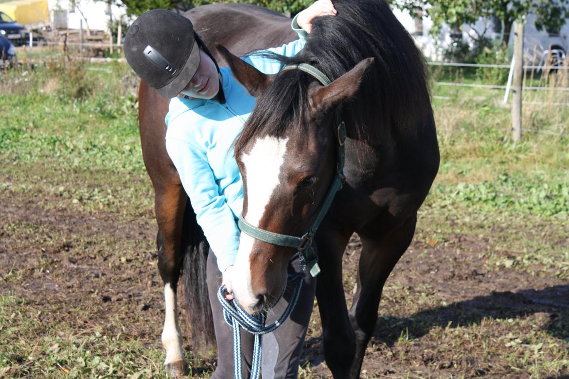 Anden særlig race Søbo's Chacor  billede 2