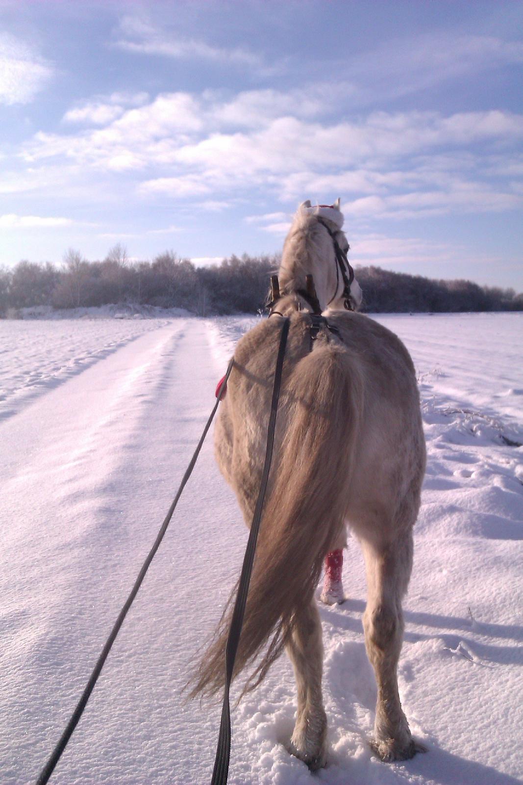 Anden særlig race Miggi - Når enden er god, er alting godt. <3

tak for kigget  billede 18
