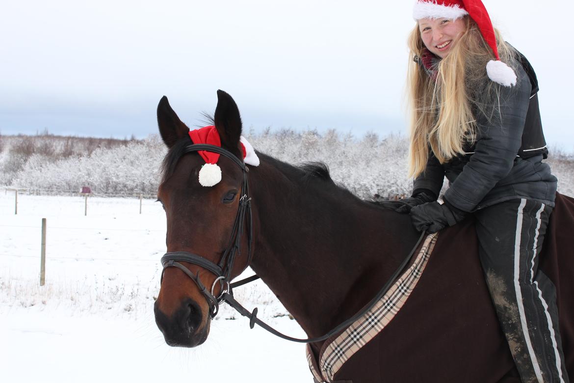 Traver Le Mans - På juletøffetur <3 billede 5