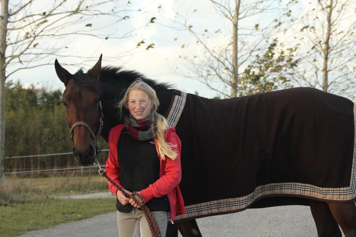 Traver Le Mans billede 15