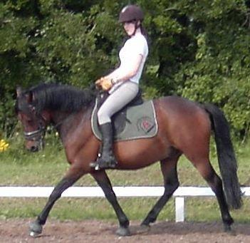 DSP CAPPUCCINO (NALLO) billede 7