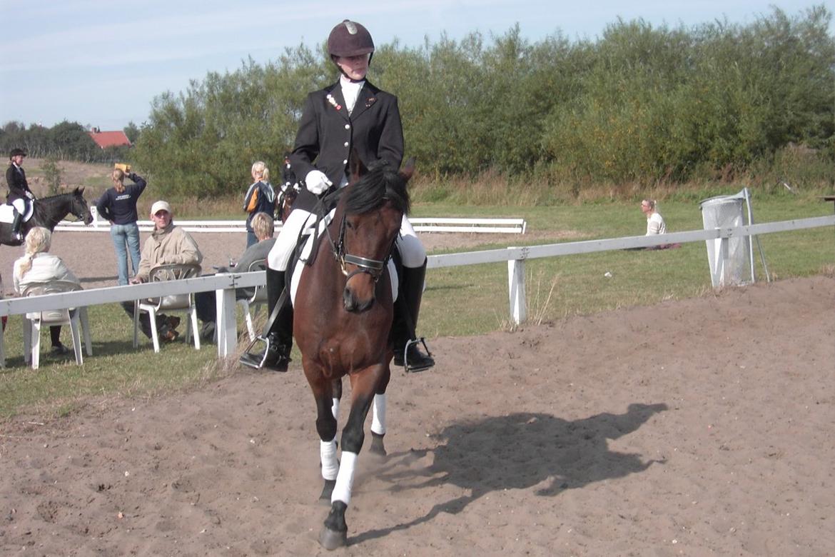 DSP CAPPUCCINO (NALLO) - Nibe cup billede 16