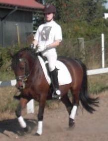 DSP CAPPUCCINO (NALLO) - Nibe Cup billede 17