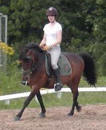 DSP CAPPUCCINO (NALLO) billede 19