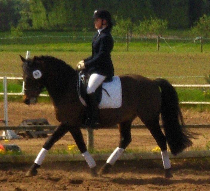 DSP CAPPUCCINO (NALLO) billede 20