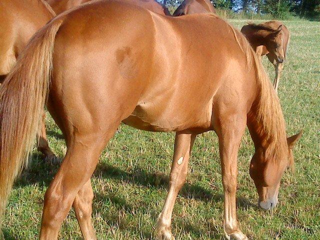 Quarter Our Nike Deesign billede 2