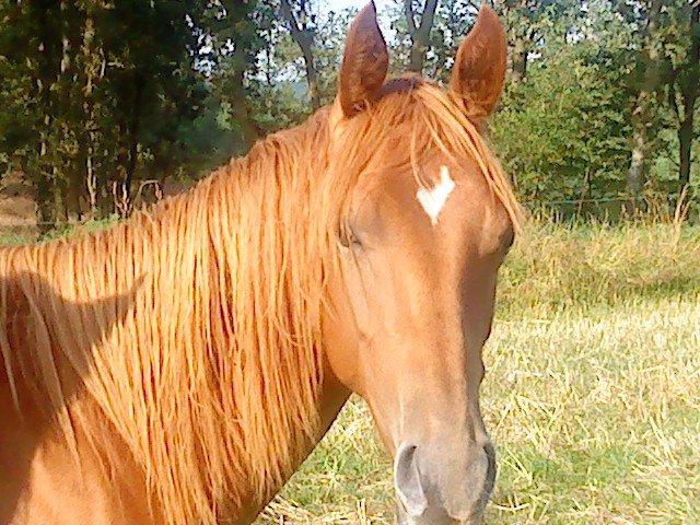 Quarter Our Nike Deesign billede 1