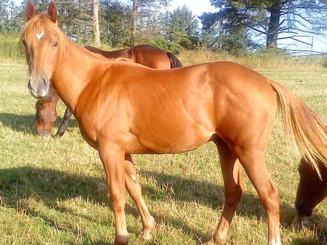 Quarter Our Nike Deesign billede 3