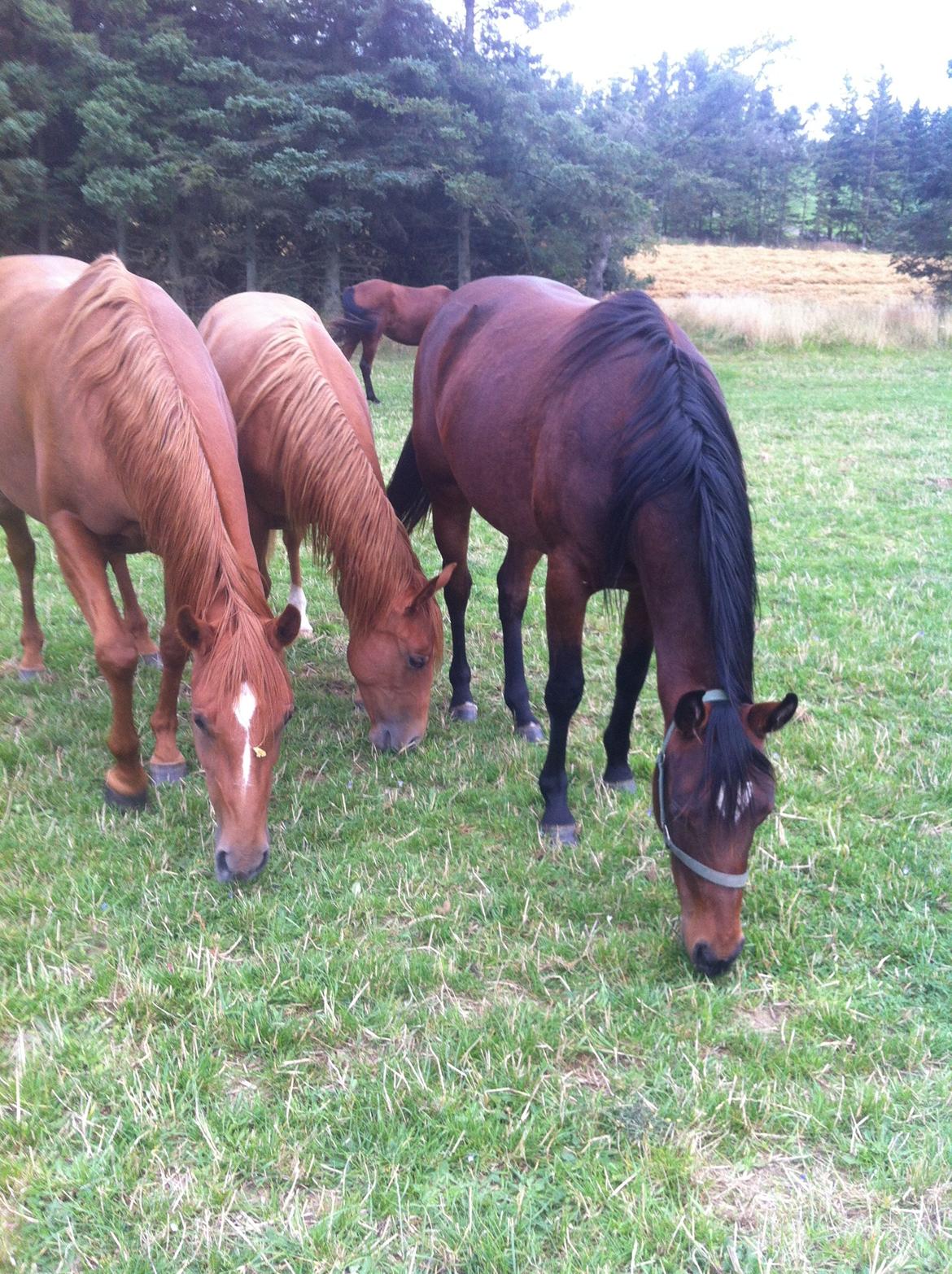 Quarter Our Nike Deesign - Her står han sammen med sin mor(venstre side af billedet) billede 6