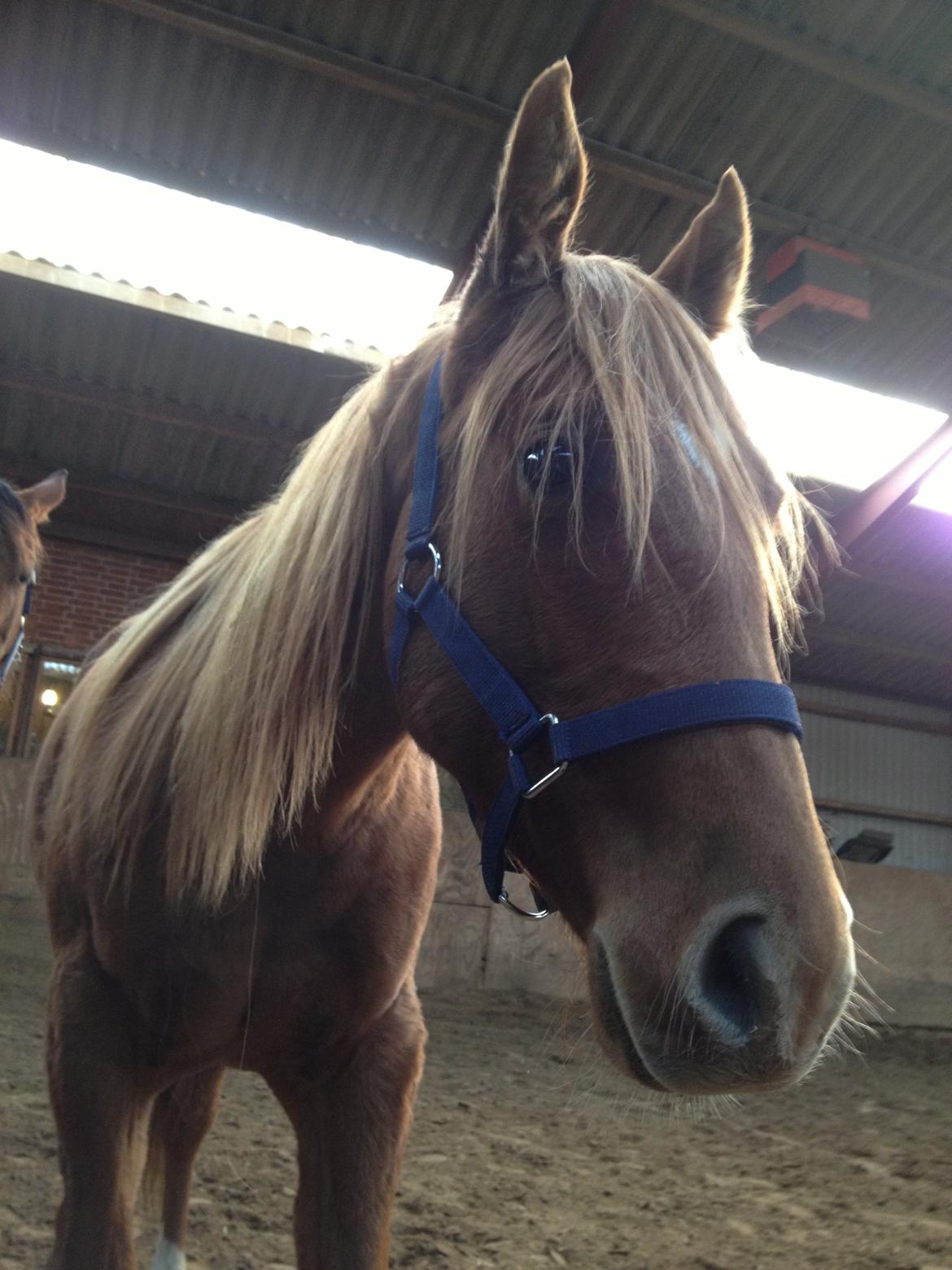 Quarter Our Nike Deesign billede 8