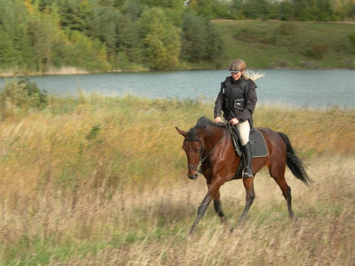 Traver Le Mans - Første tur på Manse <3 billede 11
