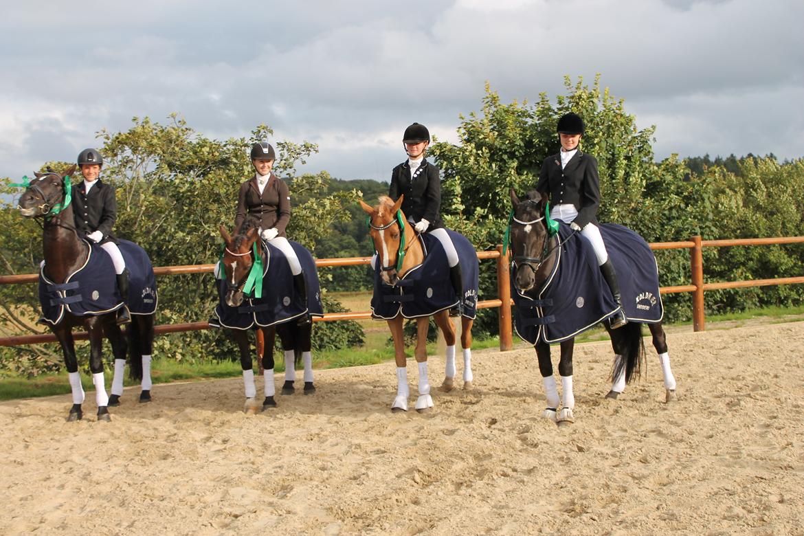 Tysk Sportspony Pan tau B - DM HOLD 2012! en fantastiks oplevelse, hvor vi endte som nr. 5! <3 billede 20