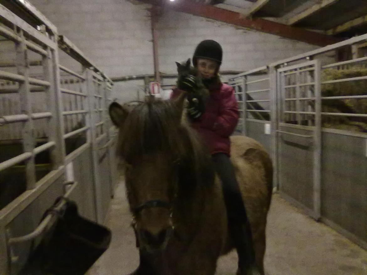 Anden særlig race Elli fra Skidbakka billede 14