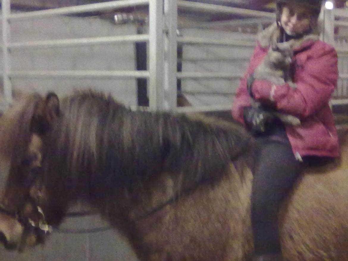 Anden særlig race Elli fra Skidbakka billede 15