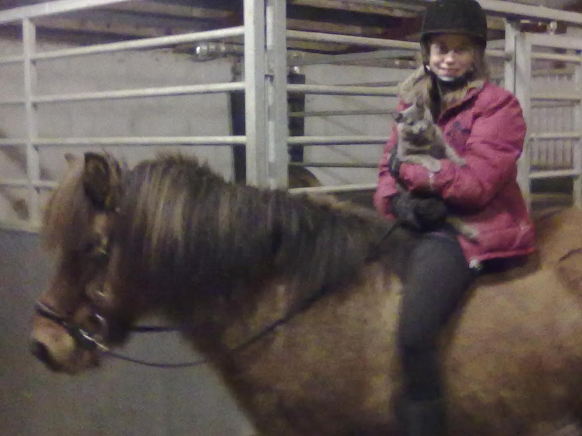 Anden særlig race Elli fra Skidbakka - er så glad elli var så god i dag er så stolt af ham:D billede 13