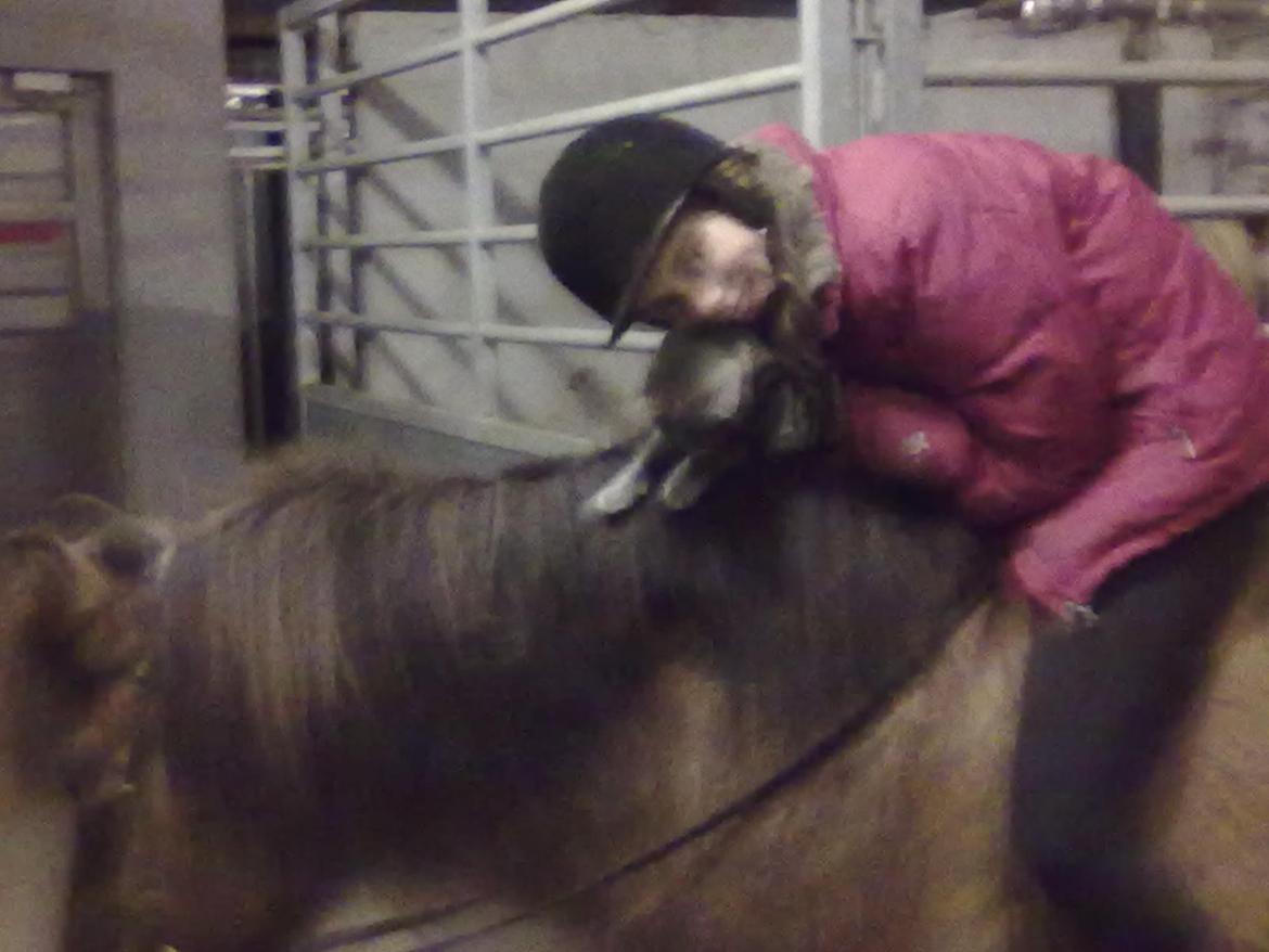 Anden særlig race Elli fra Skidbakka billede 16