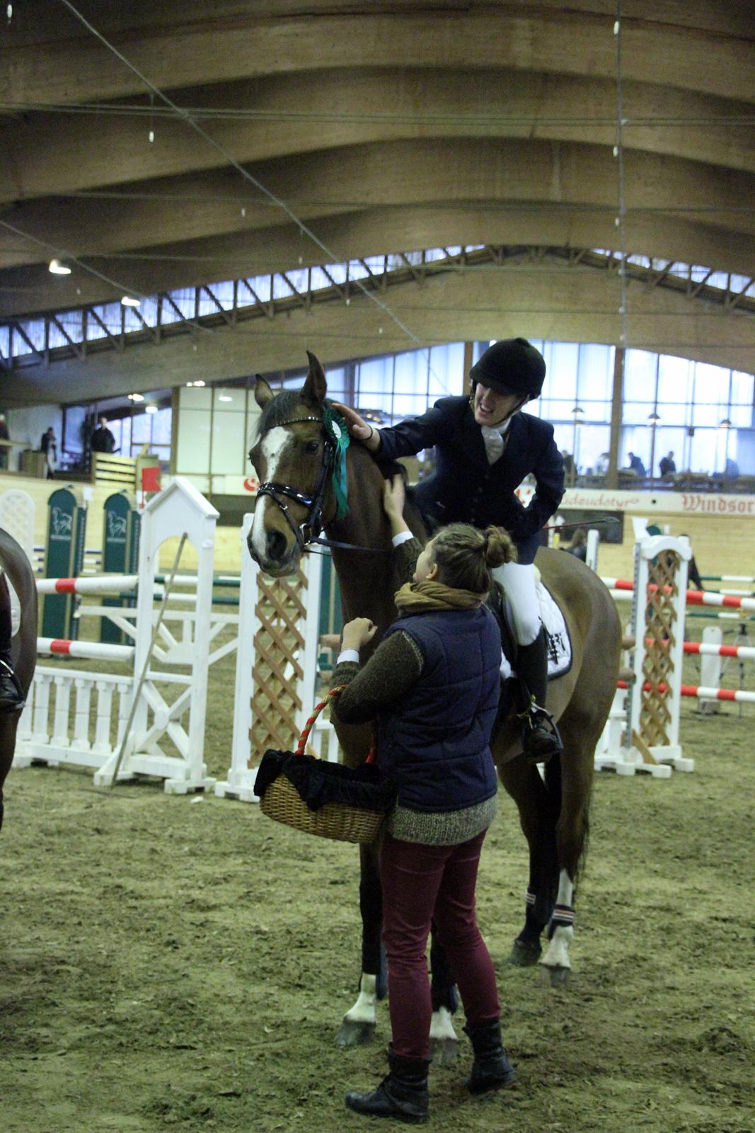 Dansk Varmblod Gamlish Chaday-Deligth - C-stæve Holte LB + LA - vinter 2012 billede 14