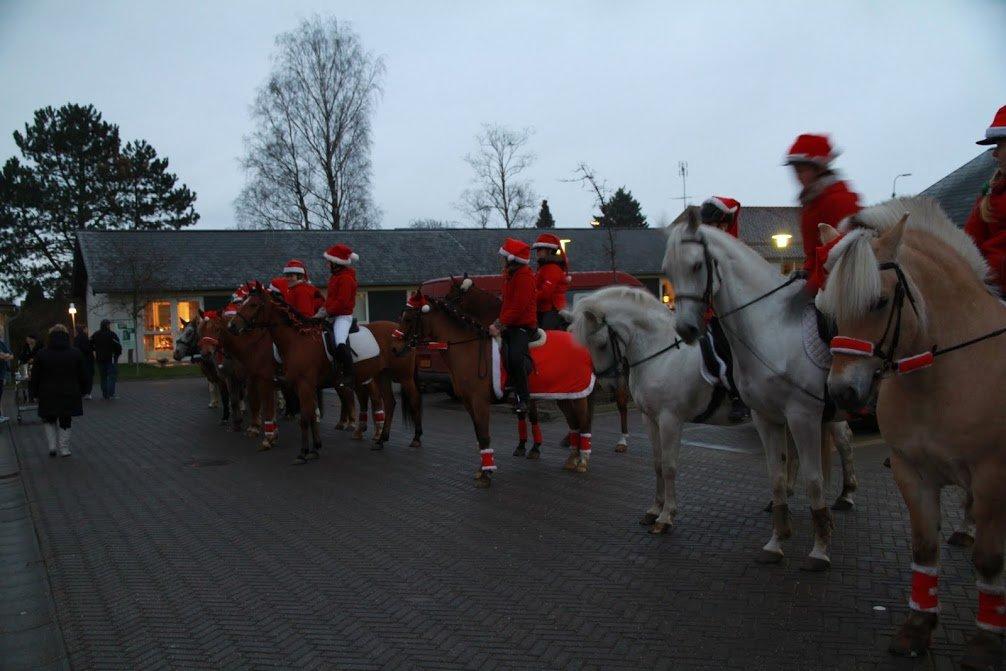 Anden særlig race Helleruphus Celeste (gamle part) - jule optog gennem skibby, første gang hun var med, og hun var så sød, var slet ikke bange, for enden biler busser og lastbiler ovs. :D billede 18