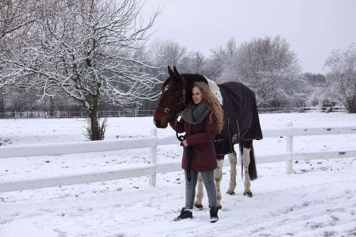 Anden særlig race Hoelgaards Yacardi Tess - D. 03-12-12 Min lille stjerne og jeg i sneen <3 billede 17