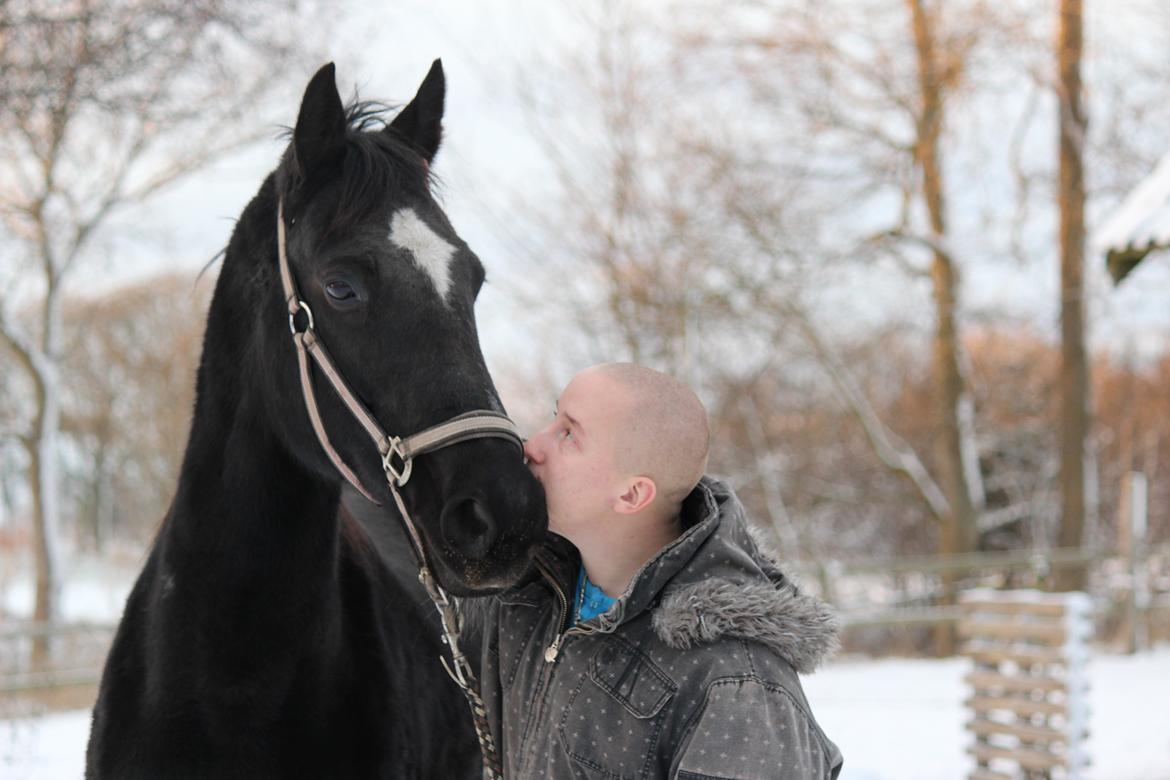 Standardbred Casino billede 1