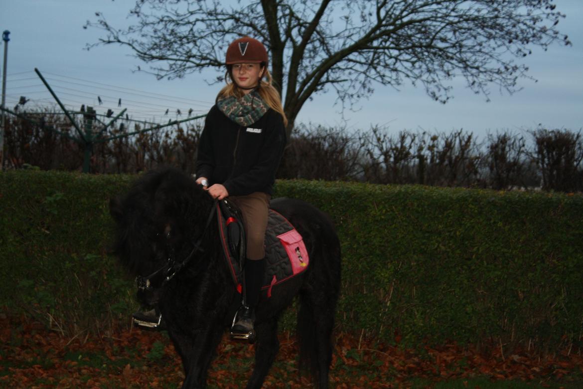 Anden særlig race Wesselhoff´s Nala <3 Solgt og savnet <3 - <3 super min pige <3
(billed taget af mor) billede 5
