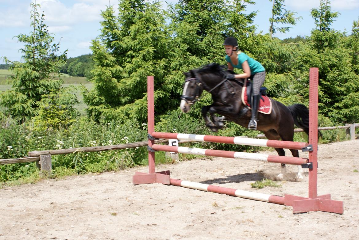 DSP Lady Chanell | R.I.P August 2011 | billede 9