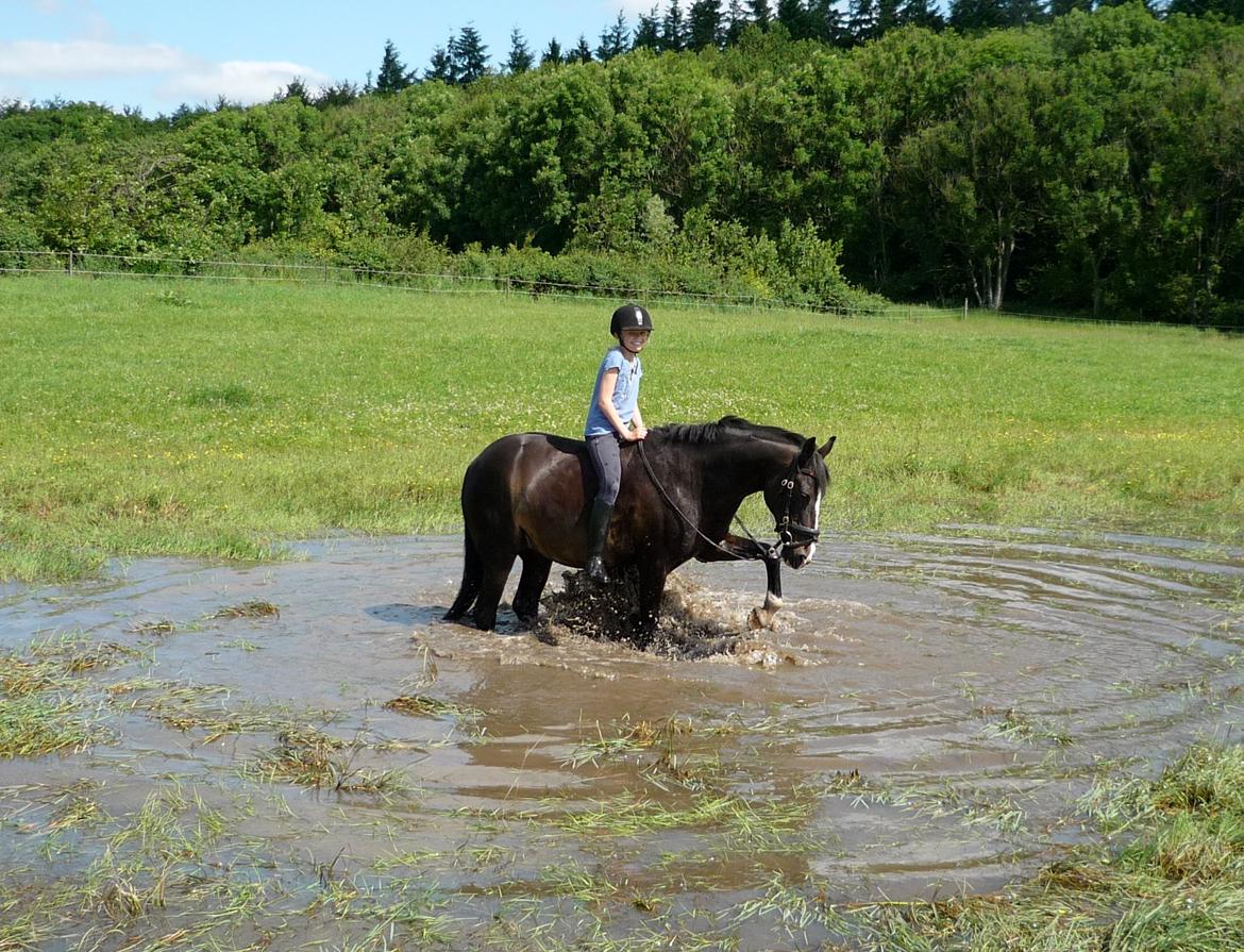 DSP Lady Chanell | R.I.P August 2011 | - Chanell og Caroline i vandet :) billede 10