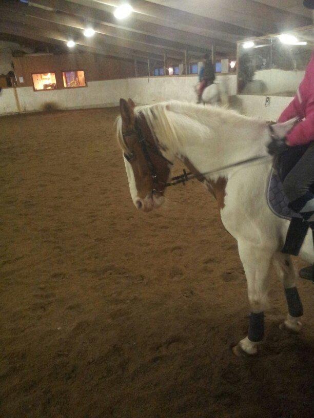 Anden særlig race sally billede 1