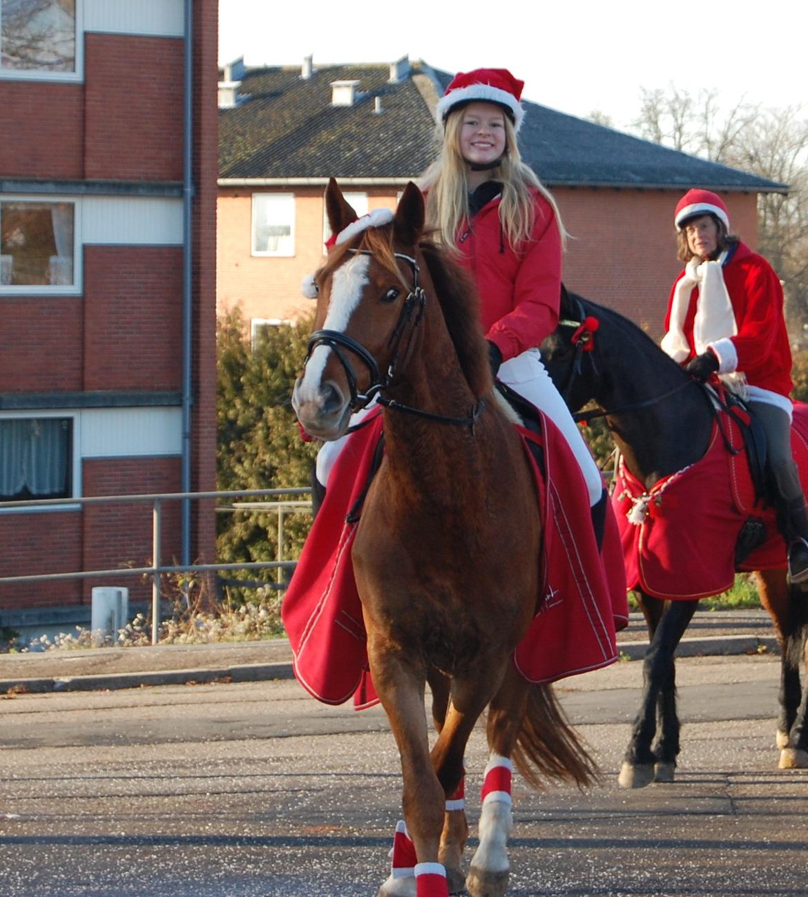 Anden særlig race Champ <3 - Line&Champ - Juleoptog gennem Glumsø. billede 14