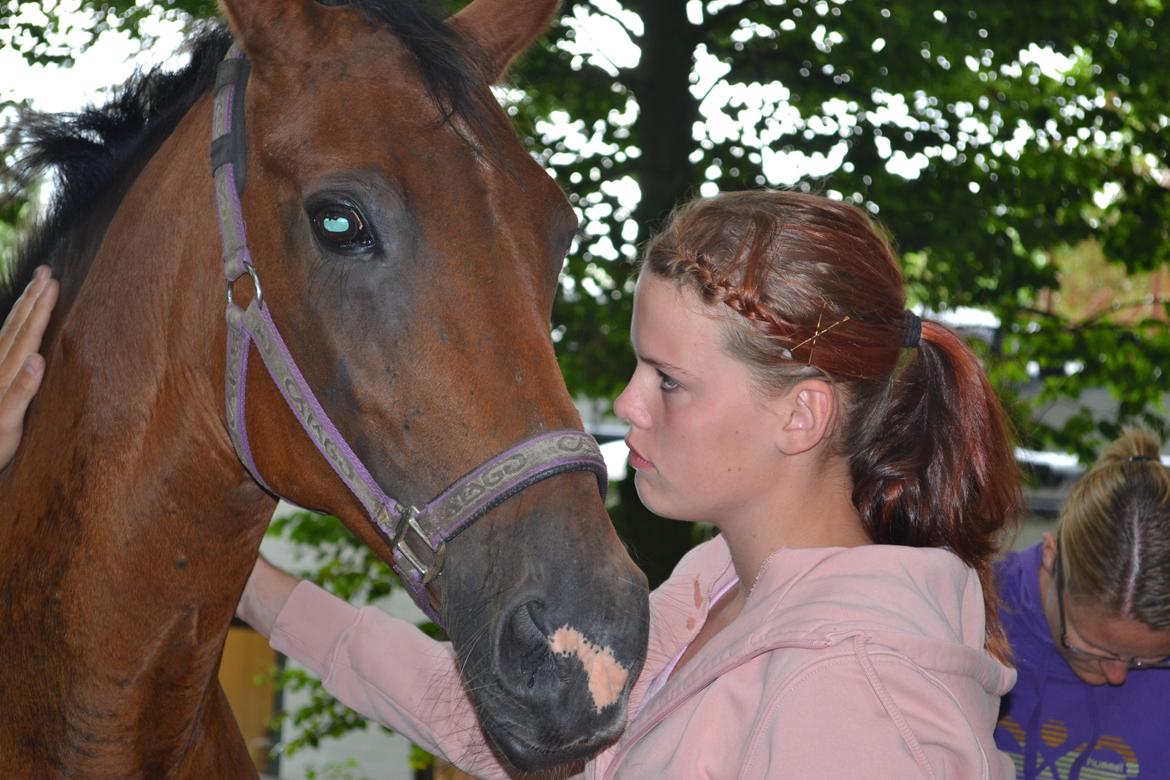 Anden særlig race Schima Charei! <3 - Den 21 august, ca 15 min før du fløj til himmels )':
Den værste dag i mit liv, savner dig skat pigen<3<3 billede 20