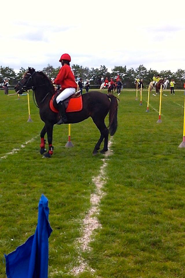 New Forest Bella - SM i ponygames!! <3 billede 9