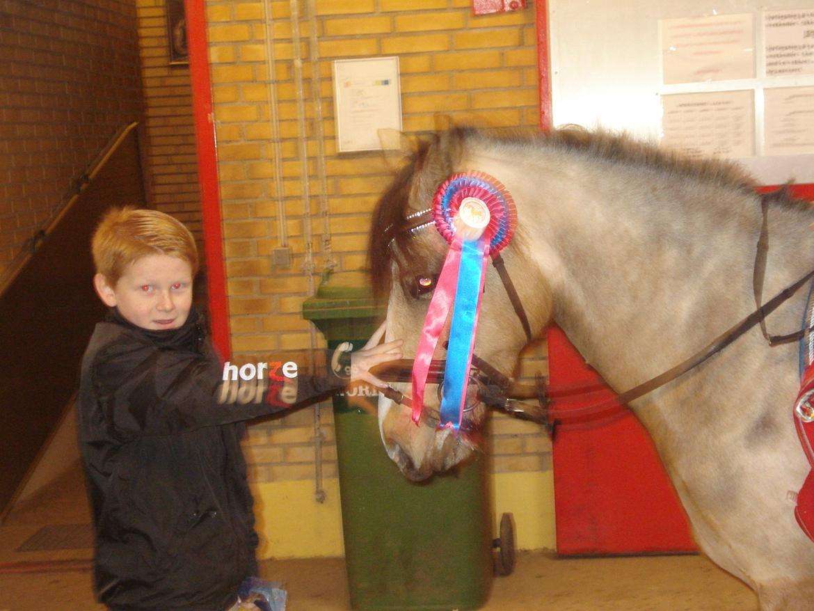 New Forest Egeskovens Baily billede 1