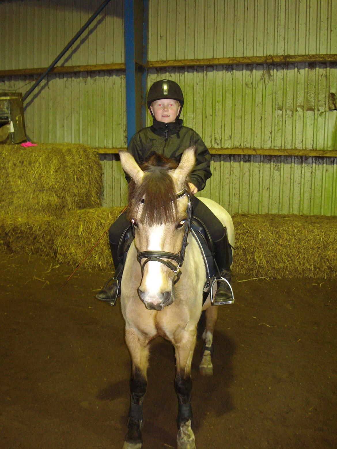 New Forest Egeskovens Baily billede 3