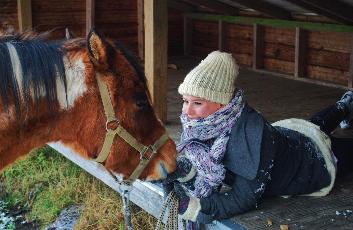 Anden særlig race Shrek | Himmelhest - Drengen og jeg på "campingtur" :)  billede 17