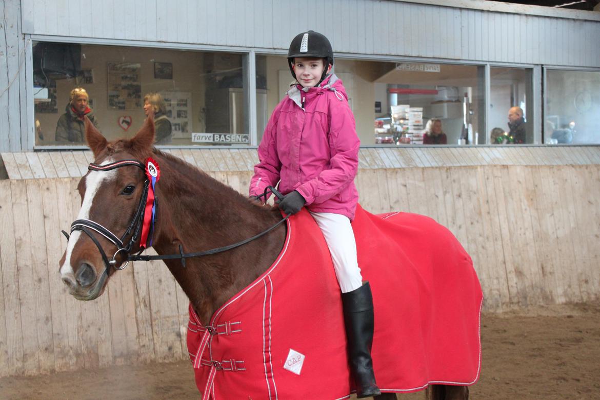 Dansk Varmblod Arizona - vinter stævne 2012 2.plads 68% billede 7