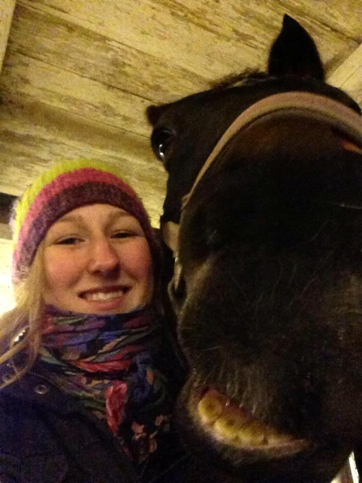 Dansk Varmblod Rosett - Hestesmil :-)  billede 16