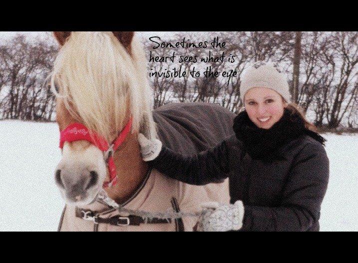Haflinger Sandy van de Lohöfte (Balder) - Min aller bedste ven.. billede 11