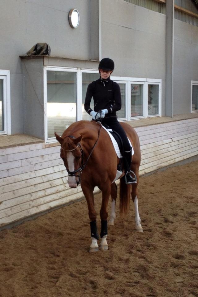 Dansk Varmblod Kildevangs Laurika - September 2012 - Jeg rider Laurika billede 6