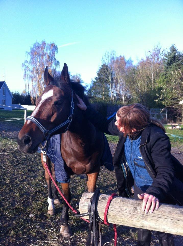 Fuldblod (XX) Pistoleiro billede 9