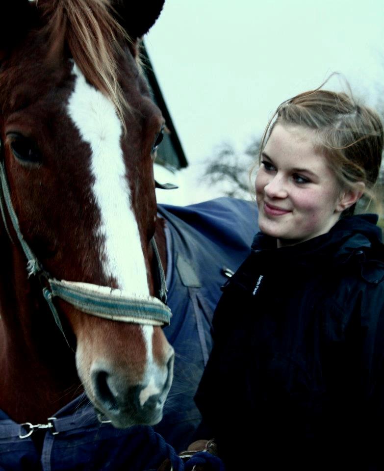 Dansk Varmblod Højgaards Rosinante - Rosie og Clara billede 20