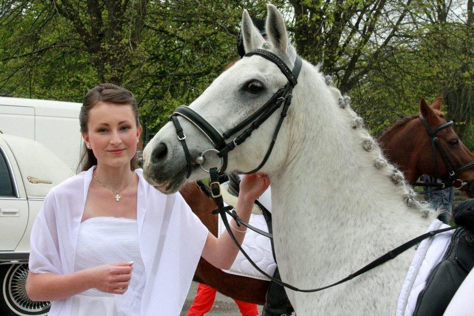 Anden særlig race Tristan Silverboy - Min konfirmation billede 2