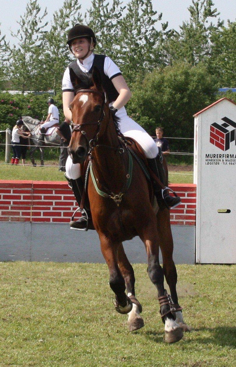 Dansk Varmblod HÉKATE - LB* til Løgstør distriktstævne 2012 :) Foto: Clarissa Nielsen billede 16