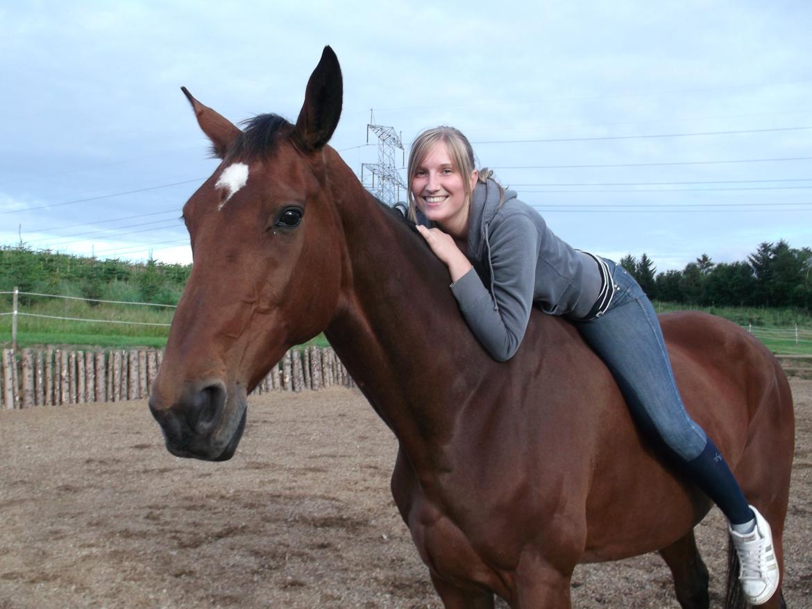 Dansk Varmblod HÉKATE - Et af de sidste billeder der blev taget af os sammen :/ Savner hende mere end noget andet! <3 Foto: Kristina Krogh Pedersen billede 19