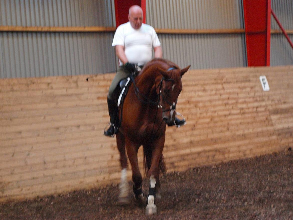 Holstener Monique billede 15