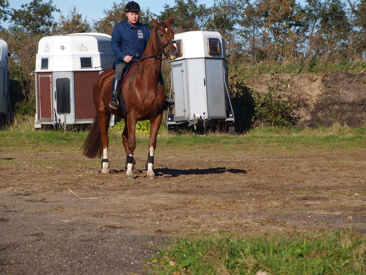 Holstener Monique billede 16