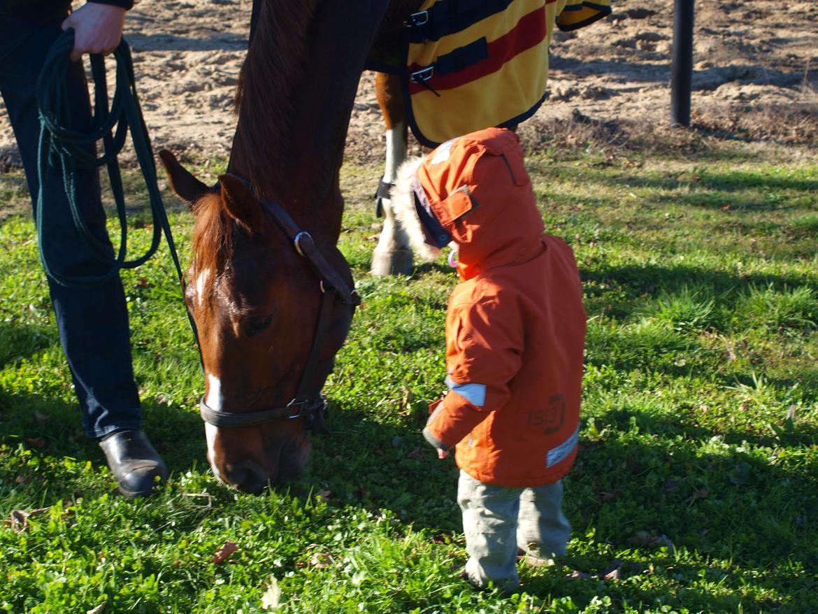 Holstener Monique billede 18